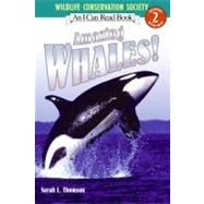 Amazing Whales!