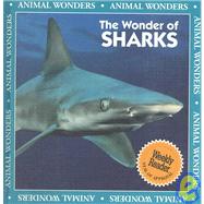 The Wonder of Sharks