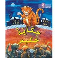 Collins Big Cat Arabic – Hakim’s Tale: Level 13