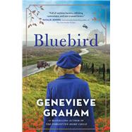 Bluebird A Novel