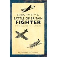 How to Fly a Battle of Britain Fighter Spitfire, Messerschmitt, Hurricane