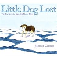 Little Dog Lost