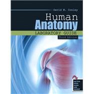 Human Anatomy Laboratory Guide