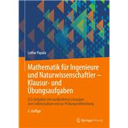 Mathematik Für Ingenieure Und Naturwissenschaftler - Klausur- Und Übungsaufgaben
