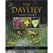 The Daylily