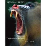 Mammal Teeth : Origin, Evolution, and Diversity