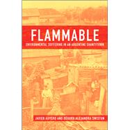 Flammable: Environmental Suffering in an Argentine Shantytown,9780199706686