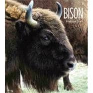 Living Wild: Bison