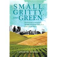 Small, Gritty, and Green : The Promise of America's Smaller Industrial Cities in a Low-Carbon World