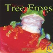 Red-eyed Tree Frogs 2007 Calendar