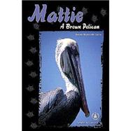 Mattie : A Brown Pelican