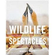 Wildlife Spectacles Mass Migrations, Mating Rituals, and Other Fascinating Animal Behaviors