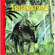 Triceratops and Other Forest Dinosaurs