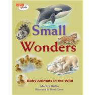 Small Wonders Baby Animals in the Wild