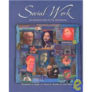 Social Work An Introduction to the Profession