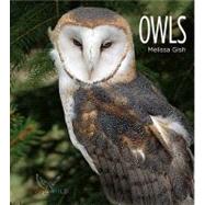 Living Wild: Owls