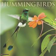 Hummingbirds 2020 Calendar