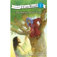 Zacchaeus Meets Jesus