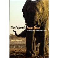 The Elephant's Secret Sense