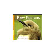 Baby Penguin