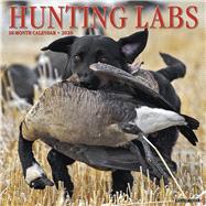Hunting Labs 2020 Calendar