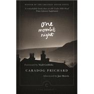 One Moonlit Night