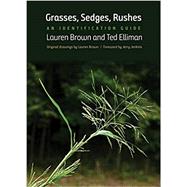 Grasses, Sedges, Rushes