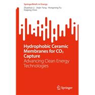 Hydrophobic Ceramic Membranes for CO2 Capture