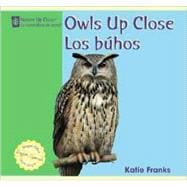 Owls Up Close/ Los Buhos