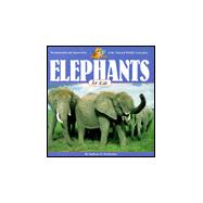 Elephants for Kids