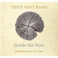 Inside the Now Meditations on Time