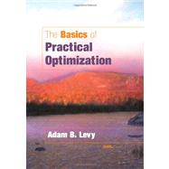 The Basics of Practical Optimization
