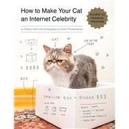 How to Make Your Cat an Internet Celebrity A Guide to Financial Freedom