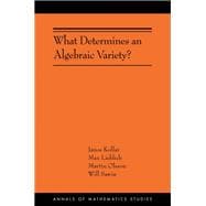 What Determines an Algebraic Variety?