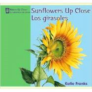 Sunflowers Up Close/ Los Girasoles