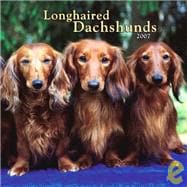 Longhaired Dachshunds 2007 Calendar