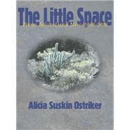 The Little Space