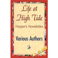 Life at High Tide