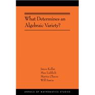 What Determines an Algebraic Variety?