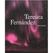 Teresita Fernández Wayfinding