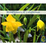 Wildflowers of California 2003 Calendar