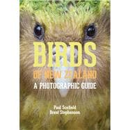 Birds of New Zealand A Photographic Guide