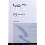 Comparing Welfare Capitalism: Social Policy and Political Economy in Europe, Japan and the USA