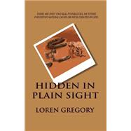 Hidden in Plain Sight