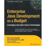 Enterprise Java Development on a Budget