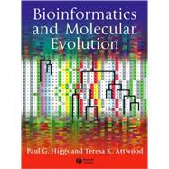 Bioinformatics And Molecular Evolution