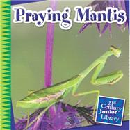 Praying Mantis