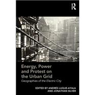 Energy, Power and Protest on the Urban Grid: Geographies of the Electric City