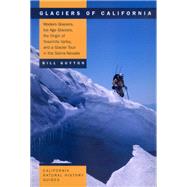 Glaciers of California