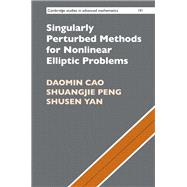 Singularly Perturbed Methods for Nonlinear Elliptic Problems